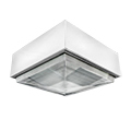 induction-23-gas-station-light-fixture