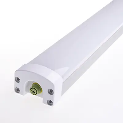 Cold Warehouse Lights-TP