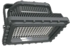 Class 1 Division 1 LED Lighting - D series