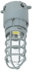 Explosion Proof Lighting -Type O