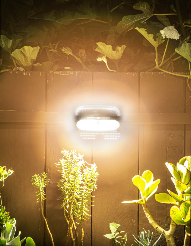 Solar outdoor wall lights